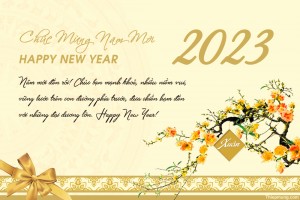 Chúc Mừng Năm Mới Xuân Quý Mão 2023